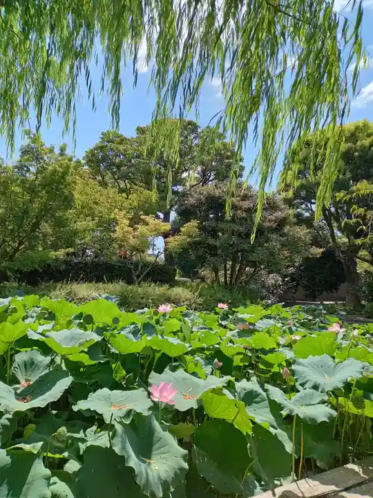 東寺(教王護国寺)(京都府)