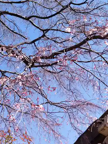 南養寺の庭園