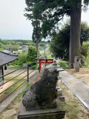 妙見神社の狛犬