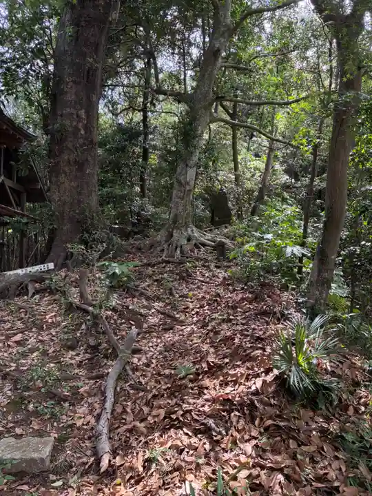 熊野神社(千葉県)