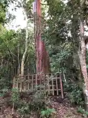 八重垣神社の建物その他