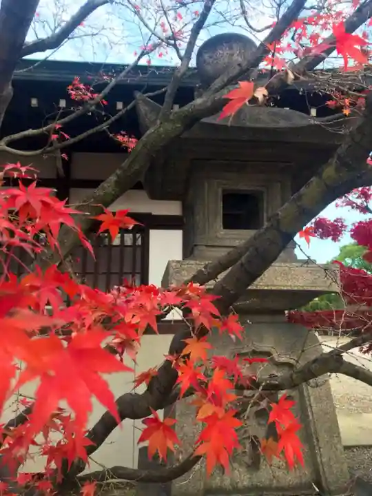豊國神社のその他建物