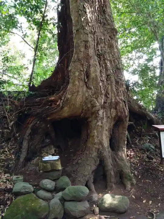 霧島岑神社(宮崎県)