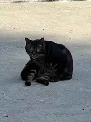 海南神社(神奈川県)