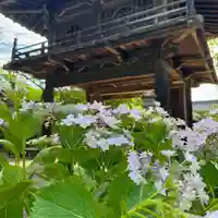伊勢の国 四天王寺(三重県)