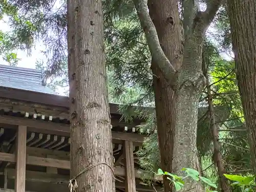小菅神社奥社(長野県)