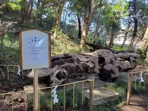 泉神社の建物その他