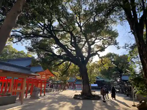 住吉神社(福岡県)