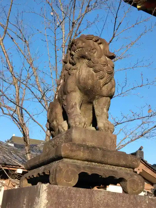 八坂神社(祇園さん)の狛犬