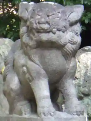 白山神社（二子町）の狛犬