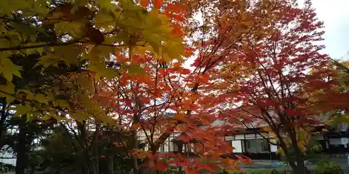 北海道護國神社の自然