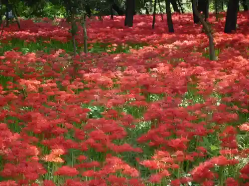 金刀比羅神社の周辺