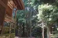 多賀雄神社の自然