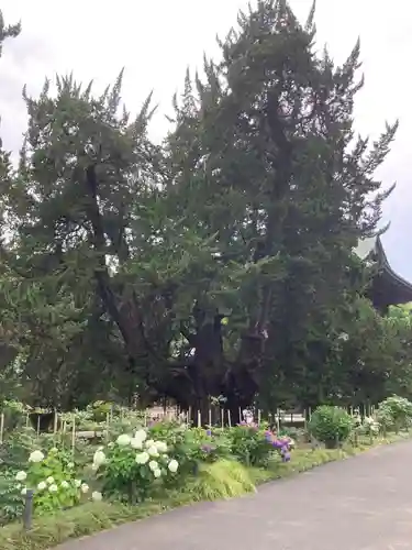 建長寺(神奈川県)