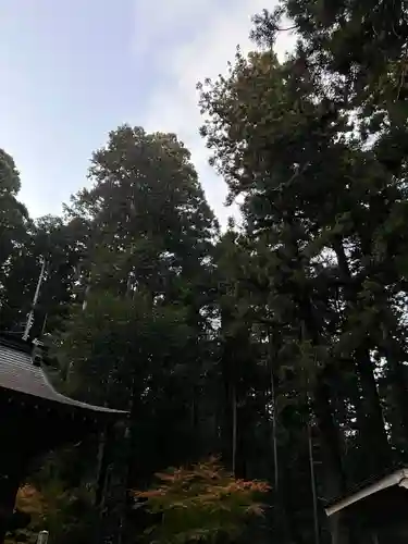 大宮温泉神社(栃木県)