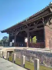 東寺（教王護国寺）(京都府)