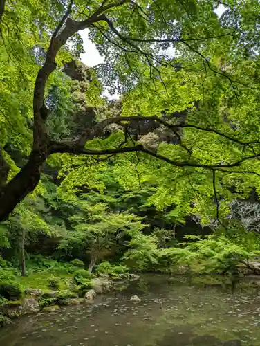 南禅院(京都府)
