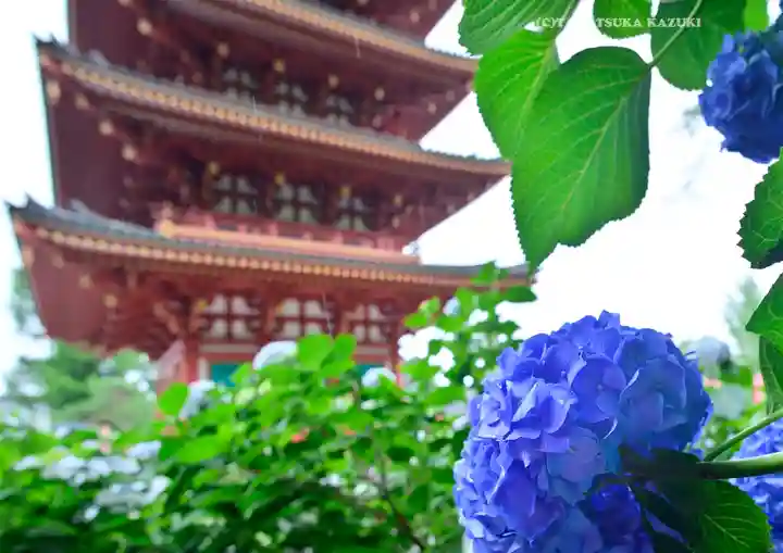 高幡不動尊 金剛寺(東京都)