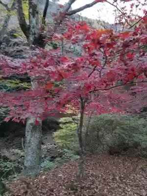 大山寺(神奈川県)