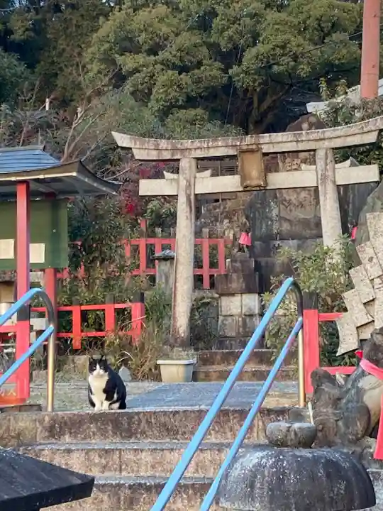 伏見稲荷大社(京都府)