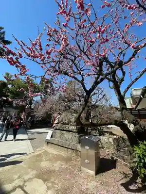 北野天満宮(京都府)