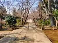 本土寺(千葉県)