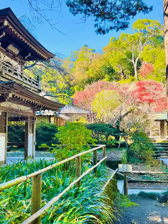 浄智寺(神奈川県)
