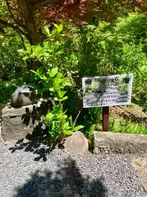 石都々古和気神社(福島県)