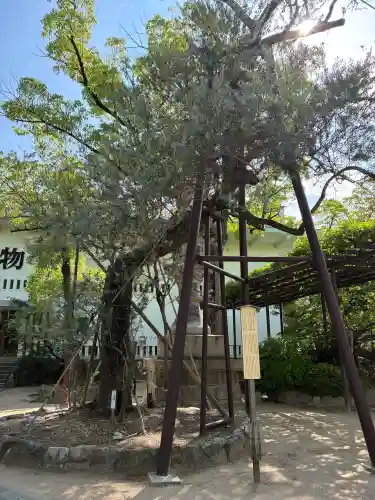 湊川神社(兵庫県)