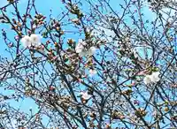 瀧宮神社(広島県)