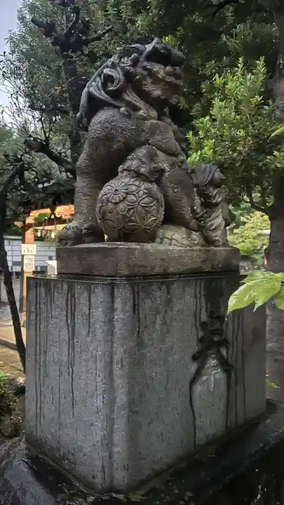 鳩森八幡神社の狛犬