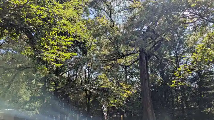 帯廣神社の自然