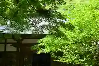 円覚寺(神奈川県)