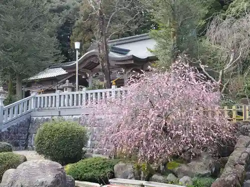 伊夜比咩神社の自然