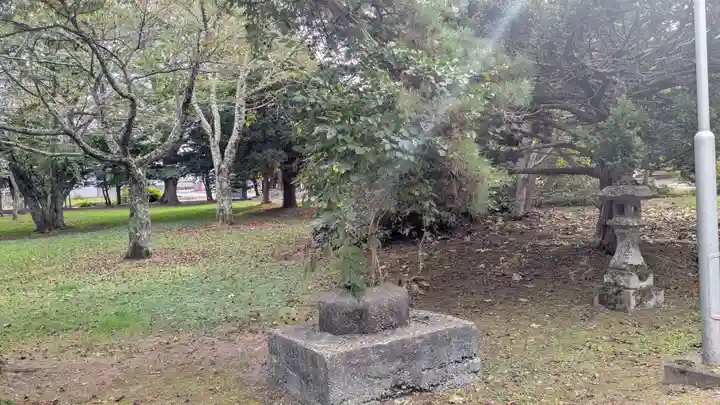 十勝神社の自然