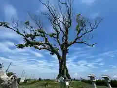 大木神社跡地(三重県)