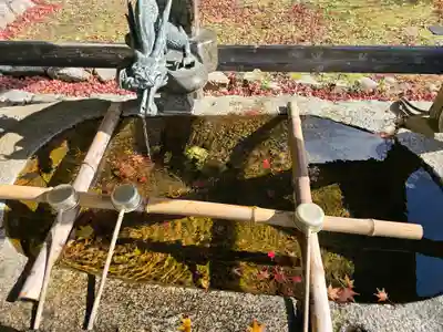 観心寺(大阪府)