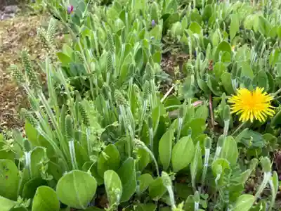 鹿島神社の周辺