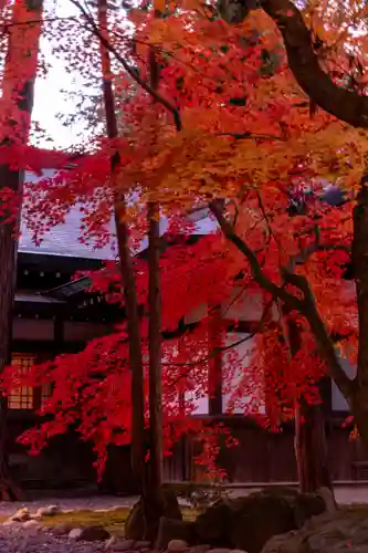 諏訪大社下社秋宮(長野県)