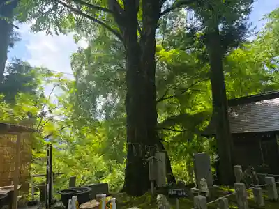 正法寺(滋賀県)