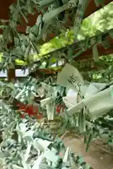 貴船神社結社(京都府)