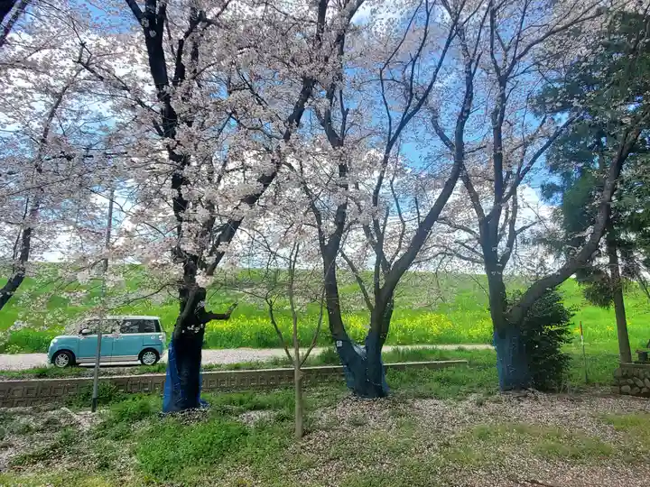 御厨神社(福富町)の自然