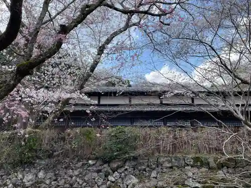 勝持寺（花の寺）(京都府)