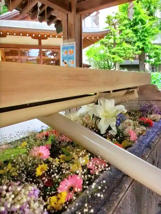 鳩森八幡神社の手水舎