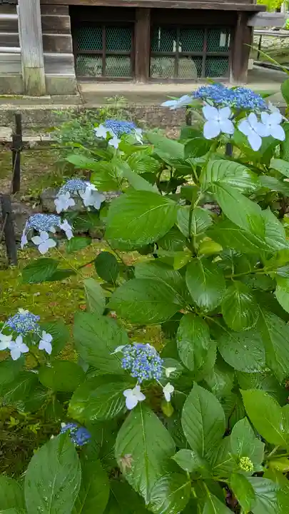 真正極楽寺(真如堂)(京都府)