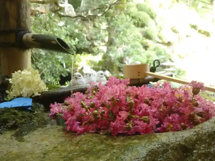 柳谷観音 楊谷寺の手水舎