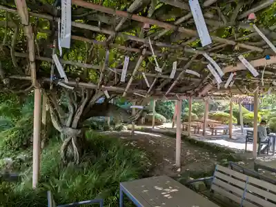 金蛇水神社(宮城県)