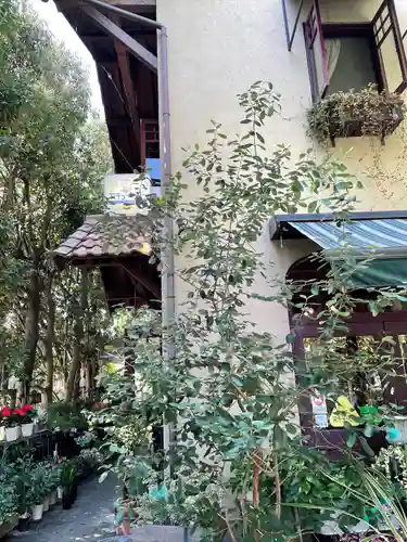 大宮神社のその他建物