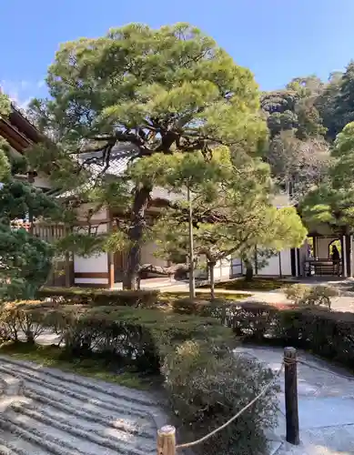 慈照寺（慈照禅寺・銀閣寺）(京都府)
