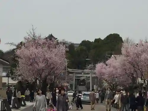 針綱神社の自然